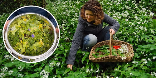 Wild Food, Foraging & Wilderness Cookery (Spring)