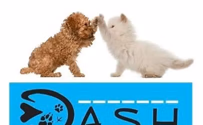 DASH Doormat Fundraiser 6\/6\/26