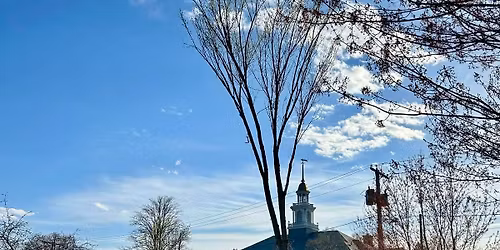Billerica Liberty Tree Dedication