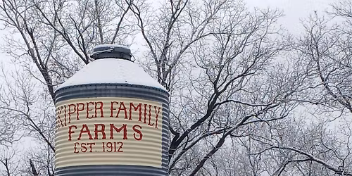 OPENING DAY OF CHRISTMAS TREES