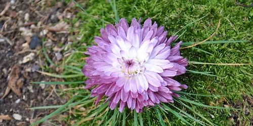 REIKI Master Practitioner Class