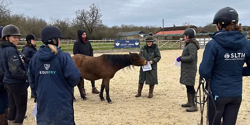 Strength and Learning Through Horses Introductory Training