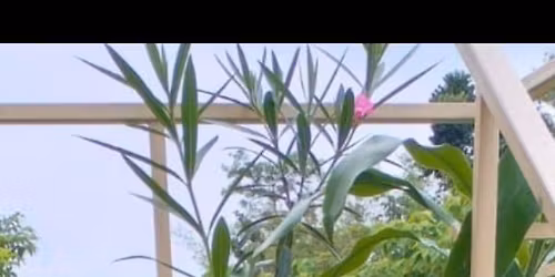 MUSIC ADDA WITH GUTLU SONA