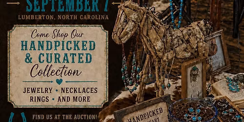 Western Grace is headed to Lumberton Horse & Tack Auction September 7th