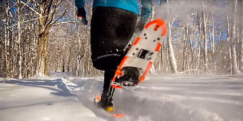 Dion Ignite the Night snowshoe race