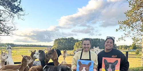 Alpaca Painting at the Ranch
