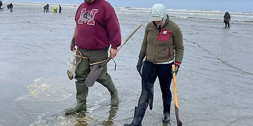 Razor Clam 101: From Sand to Table
