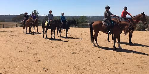 Dressage riders group 