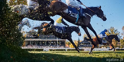 11 dzie\u0144 wy\u015bcigowy 2026 - Crystal Cup