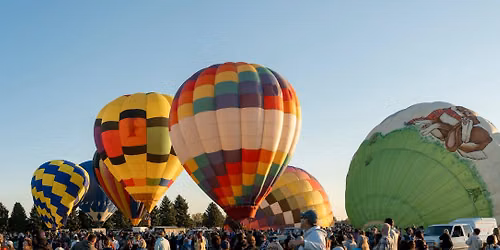 The Great Aardvark Embark Hot Air Balloon Launch