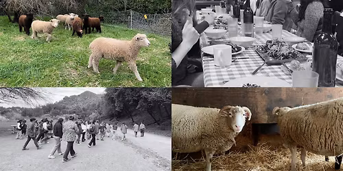 Knitter Dinner at Hidden Villa 2026