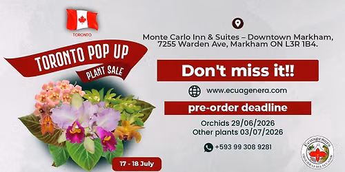 Toronto Pop Up - Plant Sale