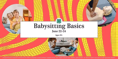 Greenville County Babysitting Basics Course 2026