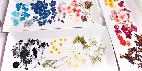 Pressed Flower Frame Workshop