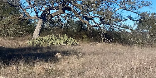 \ud83c\udf32 December Walk\ud83c\udf32