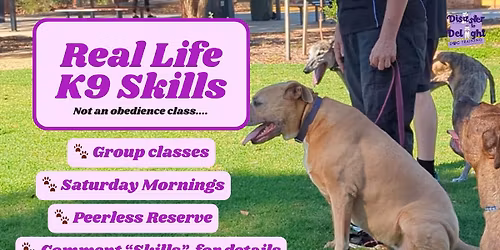 Real Life K9 Skills - Not an Obedience Class!