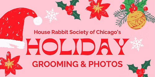 Holiday Grooming & Photos