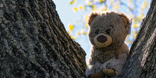 Teddy Bear Picnic and Tea