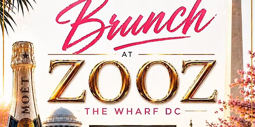 Elevated Vibes Brunch and Day Party at ZOOZ!!! (the Wharf DC)