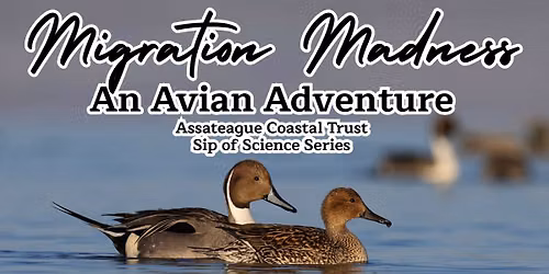 Sip of Science Series Migration Madness - An Avian Adventure