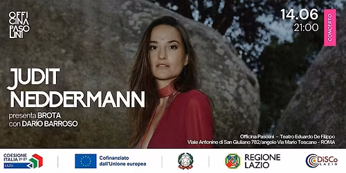Judit Neddermann