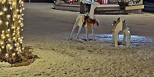 Holiday Tree Lighting Celebration