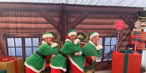 The Elf Christmas Party