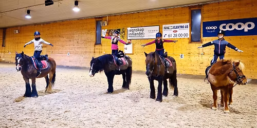 Aktivitetsdag i stallen p\u00e5 Stavsplassen