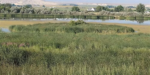 Birding Field Trip to Ted Trueblood & CJ Strike