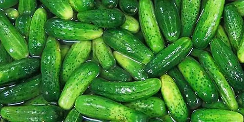 Pickle Parade & Palooza!