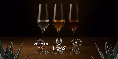 Tequila & Mezcal Tasting at Alicia's Mexican Grille