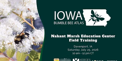 Iowa Bumble Bee Atlas Field Day at Nahant March Education Center