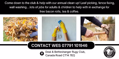 Annual clean up - Volunteers needed