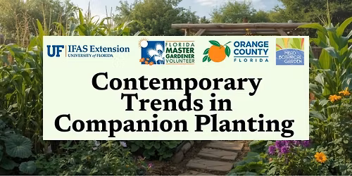 Contemporary Trends in Companion Planting