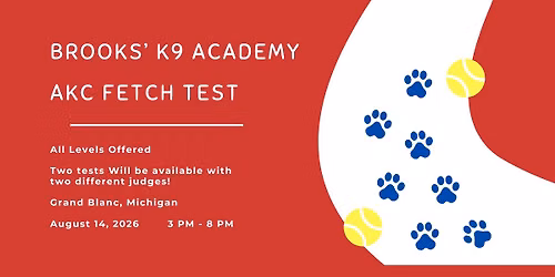 Brooks K9 Academy Summer Fetch Test