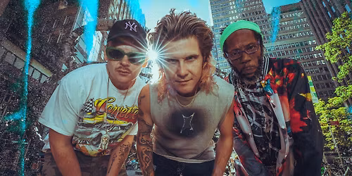 Too Many Zooz