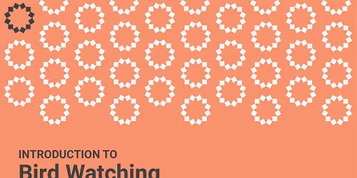 Introduction to Bird Watching