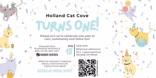 Holland Cat Cove Turns ONE!