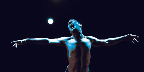 PUSH Physical Theatre at The Young Performing Arts Center
