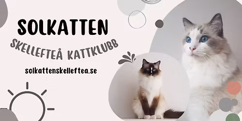 SOLKATTENS KATTKLUBB INTERNATIONELLA KATTUTST\u00c4LLNING 2026