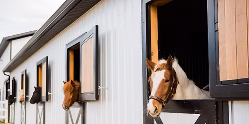 Tuesday Barn Tours