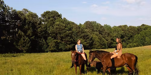 Drifted Harmony at Mercados Tyler