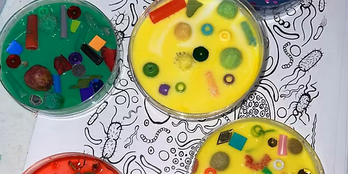 School Holidays: Microscopic Worlds (Ages 5-7)