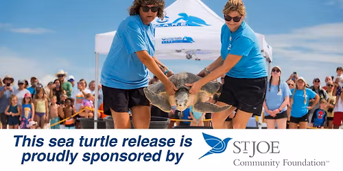 Sea Turtle Release at Inlet Beach Regional Access