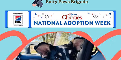 National Adoption Week with Salty Paws Brigade