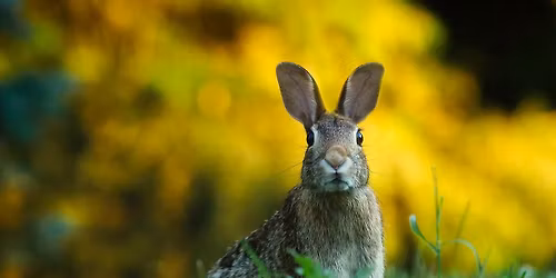 Einladung zur Schnupperprobe