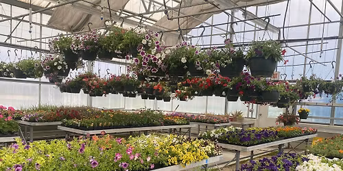 Campbellsport FFA Plant Sale