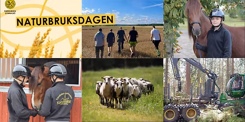 Naturbruksdagen p\u00e5 Kvinnerstaomr\u00e5det