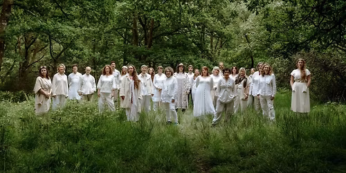 Enchanting Forest launch