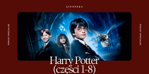 Harry Potter – zobacz wszystkie filmy z ponadczasowym polskim dubbingiem